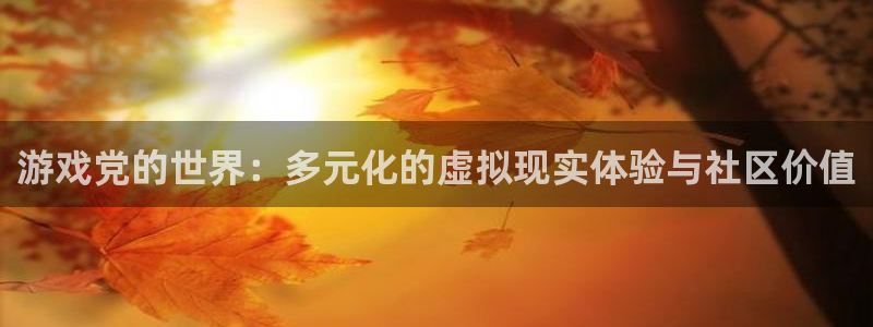 游戏党的世界：多元化的虚拟现实体验与社区价值