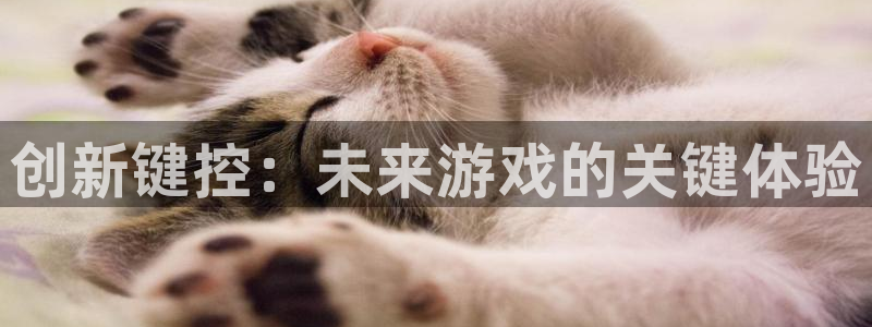 创新键控：未来游戏的关键体验
