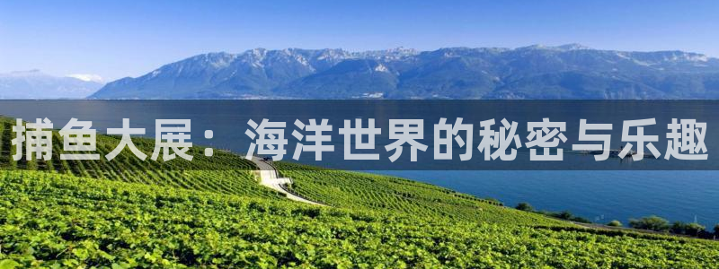 雨燕360直播：捕鱼大展：海洋世界的秘密与乐趣
