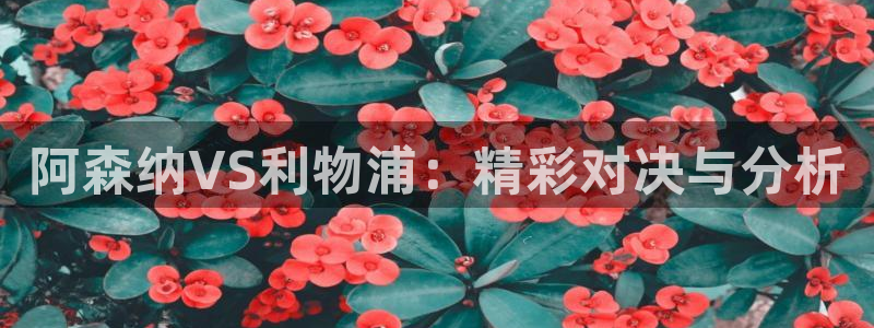 直播360体育直播：阿森纳VS利物浦：精彩对决与分析