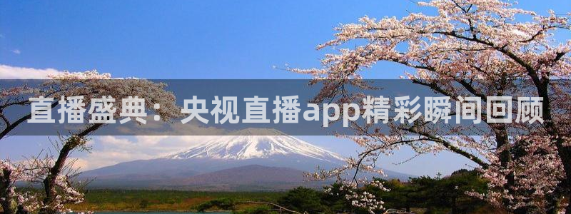 雨燕360体育免费直播：直播盛典：央视直播app精彩瞬间回顾