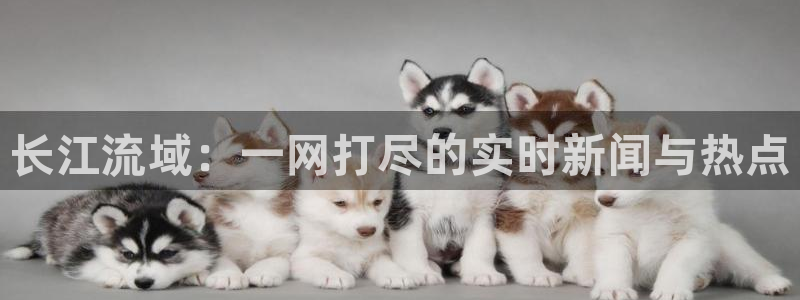 雨燕360体育最新更新内容：长江流域：一网打尽的实时新闻与热点