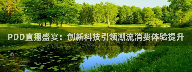 足球比赛直播360直播网：PDD直播盛宴：创新科技引领潮流消费体验提升