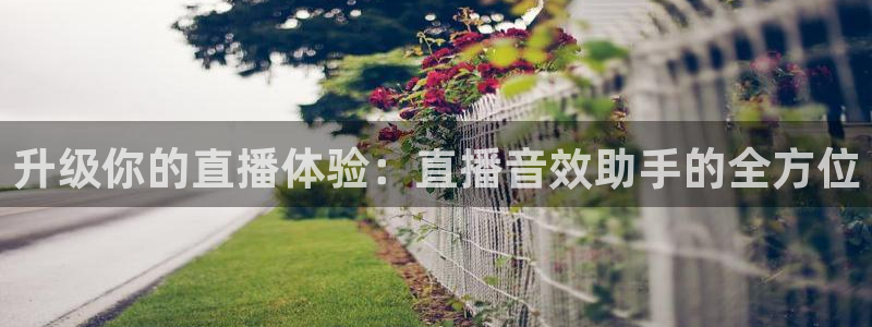 360体育直播在线：升级你的直播体验：直播音效助手的全方位