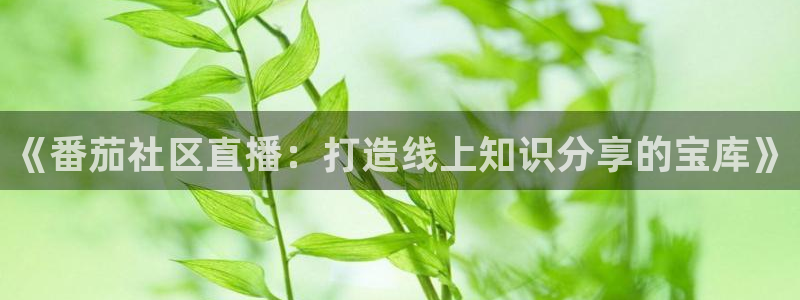 雨燕360体育直播篮球直播：《番茄社区直播：打造线上知识分享的宝库》