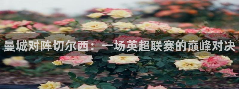 广东体育直播频道360：曼城对阵切尔西：一场英超联赛的巅峰对决
