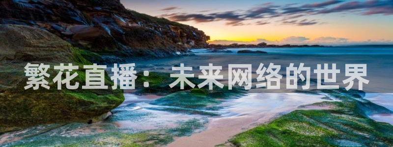 360足球在线直播软件：繁花直播：未来网络的世界