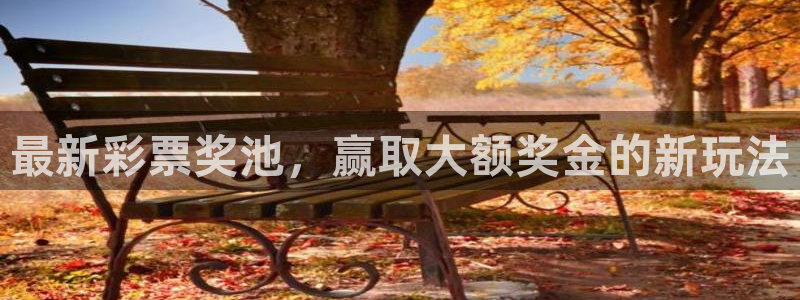 360直播足球直播雨燕：最新彩票奖池，赢取大额奖金的新玩法