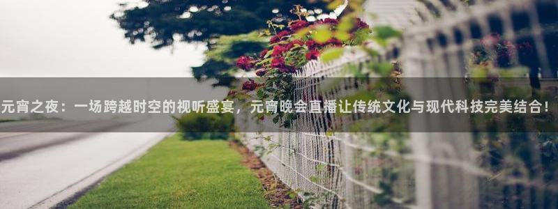 360直播体育赛事直播篮球