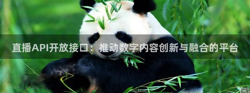 360体育直播吧