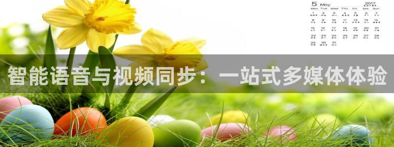 360免费观看体育直播：智能语音与视频同步：一站式多媒体体验