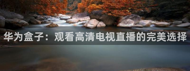 广东体育360在线直播：华为盒子：观看高清电视直播的完美选择