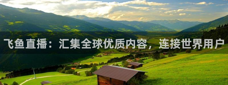 360直播足球比赛在线观看：飞鱼直播：汇集全球优质内容，连接世界用户
